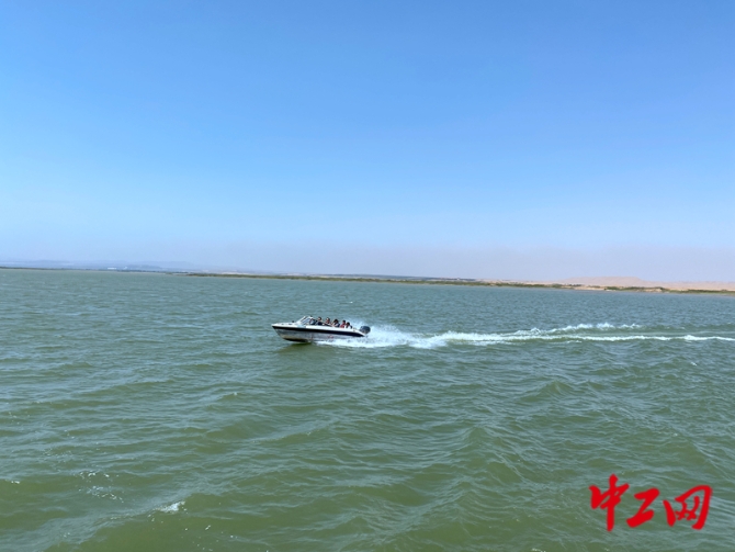 20210623094418192976274 20210623094418192976274