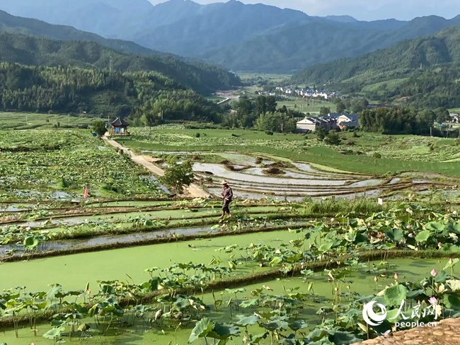 【網(wǎng)絡(luò)媒體革命老區(qū)行】三明建寧的“前世今生”:“革命紅”遇上了“生態(tài)綠”2 【網(wǎng)絡(luò)媒體革命老區(qū)行】三明建寧的“前世今生”:“革命紅”遇上了“生態(tài)綠”2