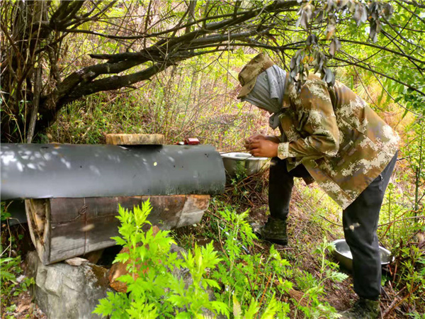 花園箐“一碗水生態(tài)養(yǎng)蜂場”。楊洪程