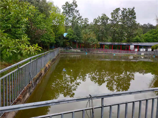 蘭永村古宗灣生態(tài)農(nóng)莊一角。楊洪程