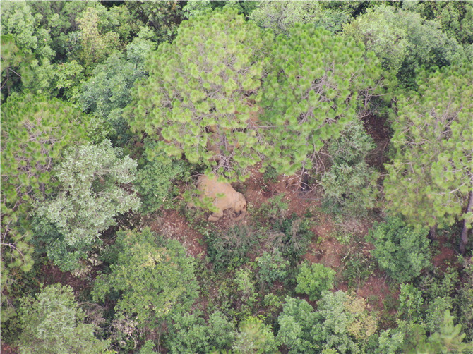 DJI_20210626082030_0003_Z