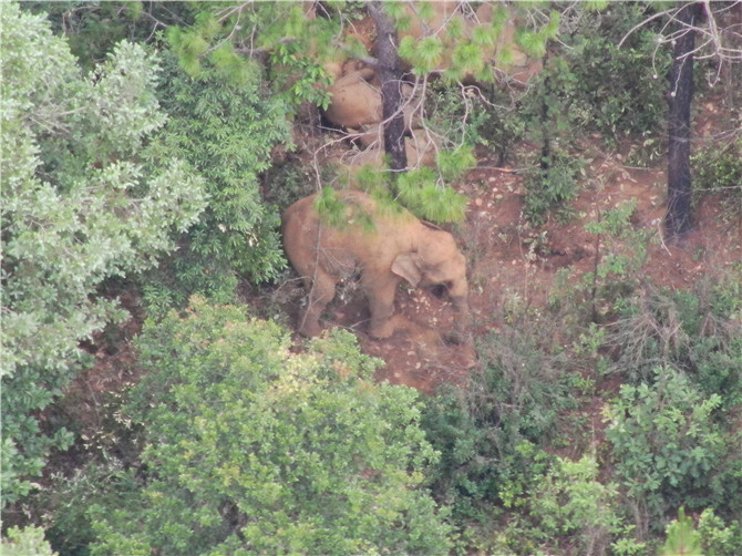 DJI_20210626092617_0007_Z