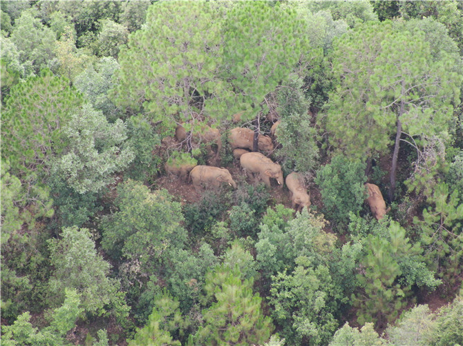 DJI_20210626102700_0004_Z