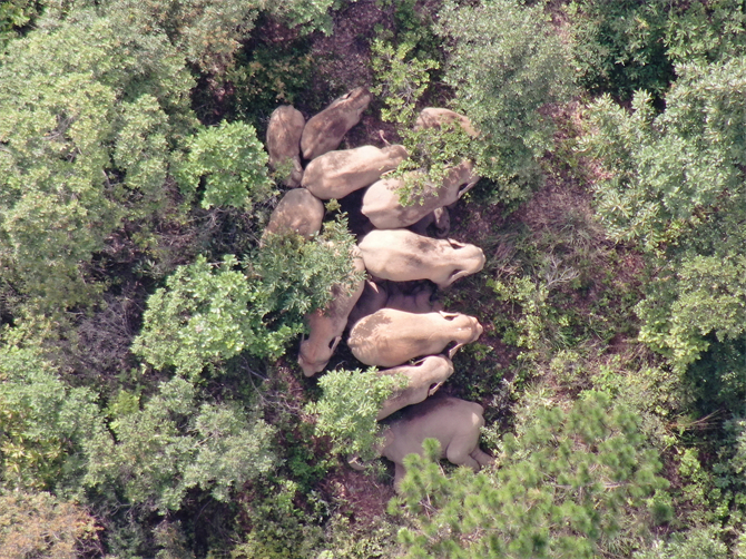 云南省森林消防總隊提供 (1) (1)_副本 云南省森林消防總隊提供 (1) (1)_副本