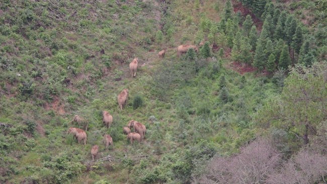 dcd2e5428a133f9730f4ba58a4a9f52