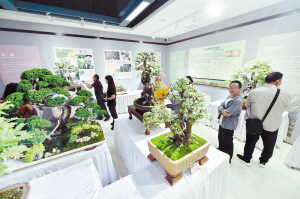 75901624915036928 75901624915036928