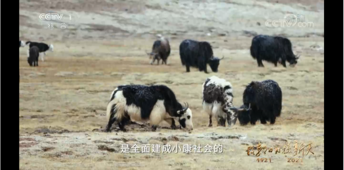 微信截圖_20210629112050 微信截圖_20210629112050