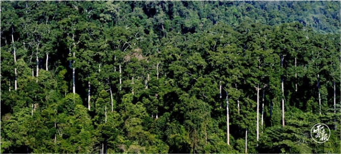 筑牢生態(tài)安全屏障 共建生態(tài)美麗云南(分離(10604357)-20210629103903.jpg