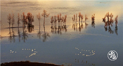 GetAttachment (2).jpg