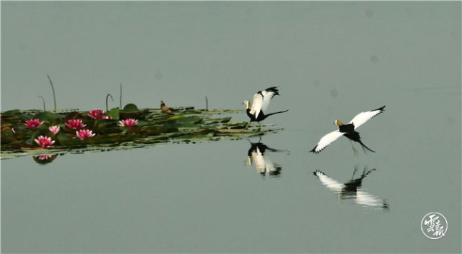 GetAttachment (4).jpg