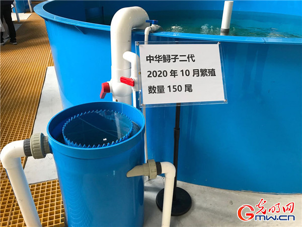 【強國中堅 高質量發(fā)展看國企】發(fā)力新智造打造新引擎，中部國企轉型發(fā)展進行時