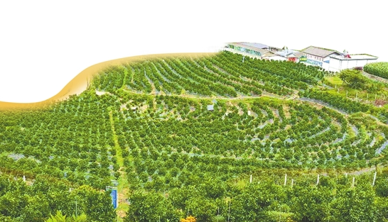 微信截圖_20210630082815