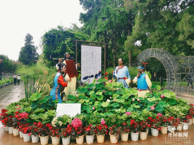 昆明荷花（春城晚報-開屏新聞記者 左學(xué)佳 費丹藝 攝）