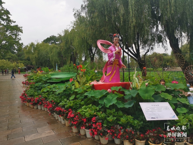 昆明荷花（春城晚報-開屏新聞記者 左學(xué)佳 費丹藝 攝）