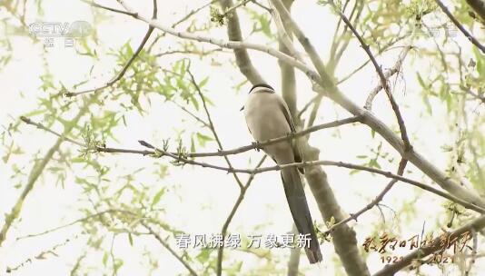 QQ截圖20210630183111