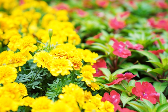 844793_670x670 844793_670x670