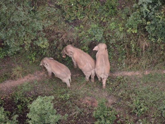 13ace7d9cfcafef9b585d0200d15ea5 13ace7d9cfcafef9b585d0200d15ea5