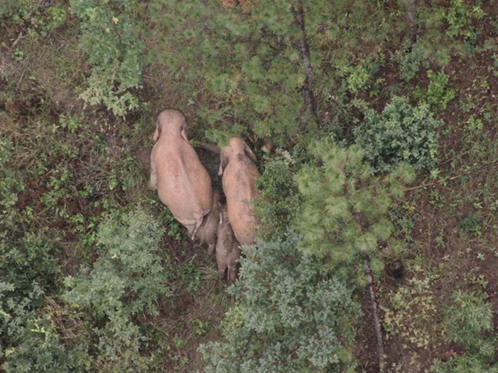 26a519ef2de1a1c4f8574ca63dc1670 26a519ef2de1a1c4f8574ca63dc1670