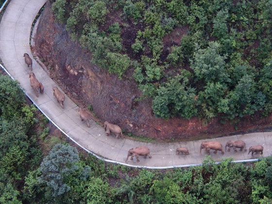 2778ac450860cf4adbc765a4a29b9d7 2778ac450860cf4adbc765a4a29b9d7