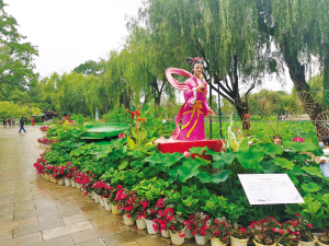 18451625174486604 18451625174486604