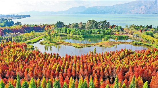 2021070213_res15_attpic_brief 2021070213_res15_attpic_brief