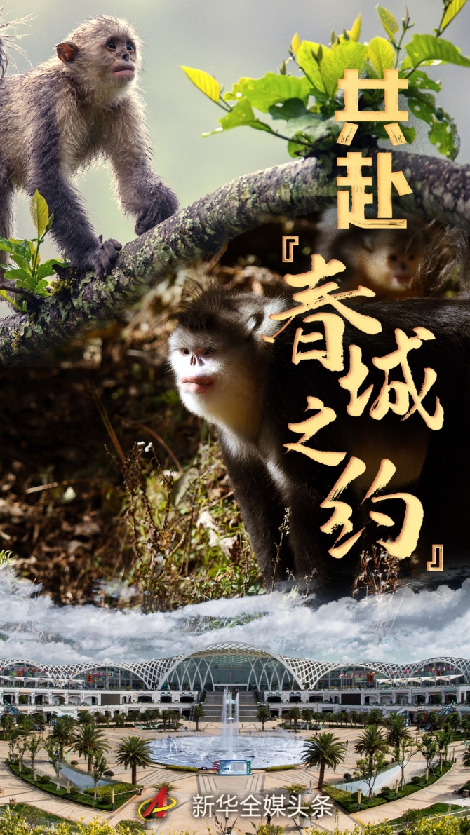 5a9690a59bb8462f8f121270bcfe05d2 5a9690a59bb8462f8f121270bcfe05d2