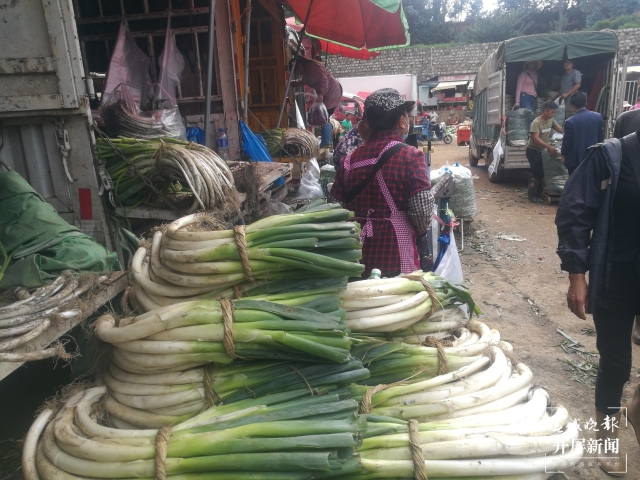 昆明大蔥降價(jià)(春城晚報(bào)-開屏新聞?dòng)浾?夏體雷 攝)
