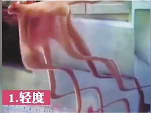 20210705A07_res12_attpic_icon 20210705A07_res12_attpic_icon