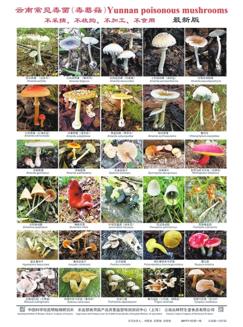 20210705A07_res23_attpic_brief 20210705A07_res23_attpic_brief