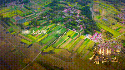 1127622310_16254450728871n 1127622310_16254450728871n