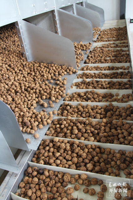 云南建成核桃澳洲堅果加工機(jī)械一體化生產(chǎn)線23條 (1).jpg