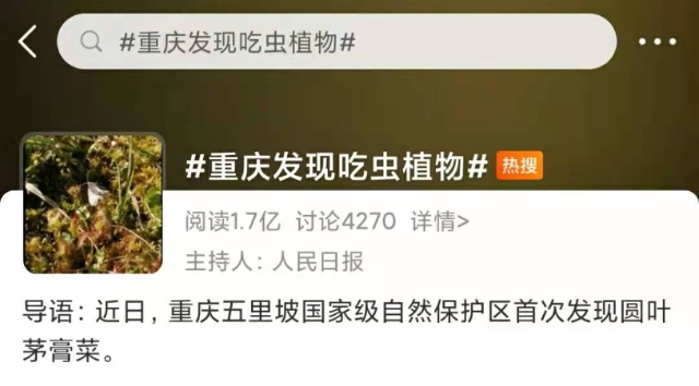 神秘的吃蟲(chóng)植物上了熱搜！1.7億網(wǎng)友圍觀！