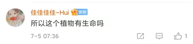 神秘的吃蟲(chóng)植物上了熱搜！1.7億網(wǎng)友圍觀！