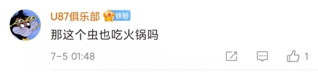 神秘的吃蟲(chóng)植物上了熱搜！1.7億網(wǎng)友圍觀！