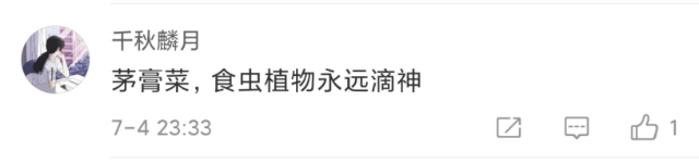 神秘的吃蟲(chóng)植物上了熱搜！1.7億網(wǎng)友圍觀！