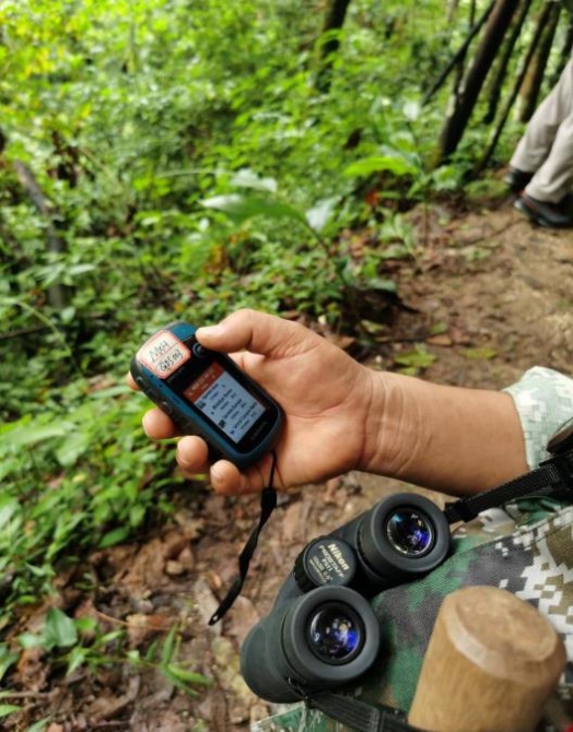 望遠(yuǎn)鏡、GPS、小砍刀是楊開所巡山、找猴的標(biāo)配“三件套”。（王莉莉 攝）