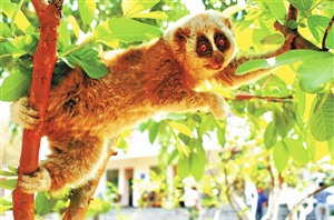 微信圖片_20210706195151