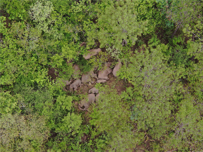 云南省森林消防總隊供圖 (3) 云南省森林消防總隊供圖 (3)