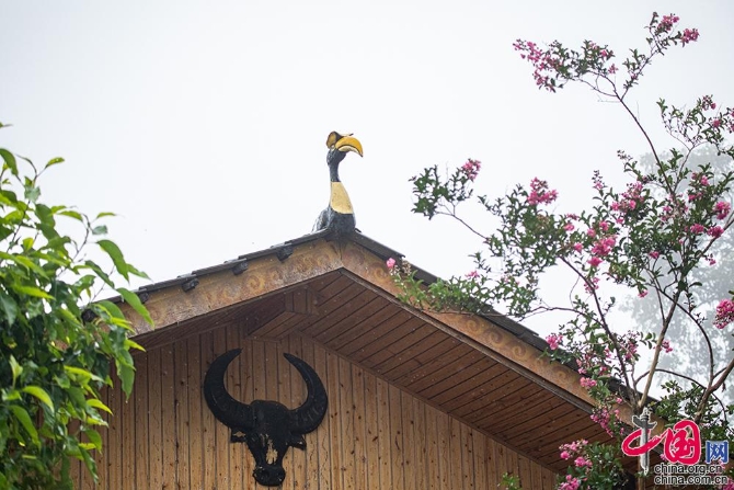 中國(guó)網(wǎng)8