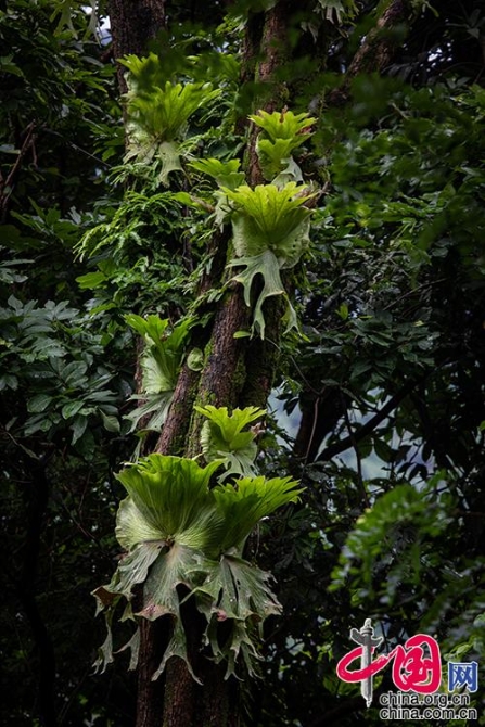 中國(guó)網(wǎng)10