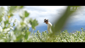 1211230704_16256309495311n