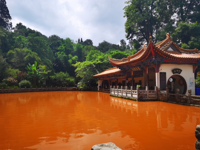 昆明黑龍?zhí)端兗t（供圖）