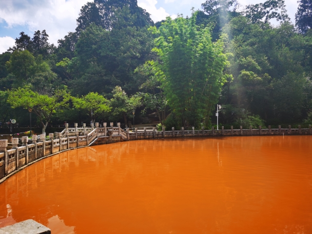 昆明黑龍?zhí)端兗t（供圖）