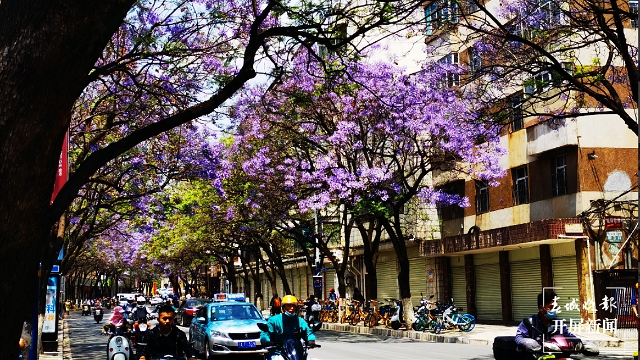 沿街商鋪快來發(fā)揮創(chuàng)意！昆明將評選10條“美麗小巷”和若干個“最靚櫥窗” 資料圖