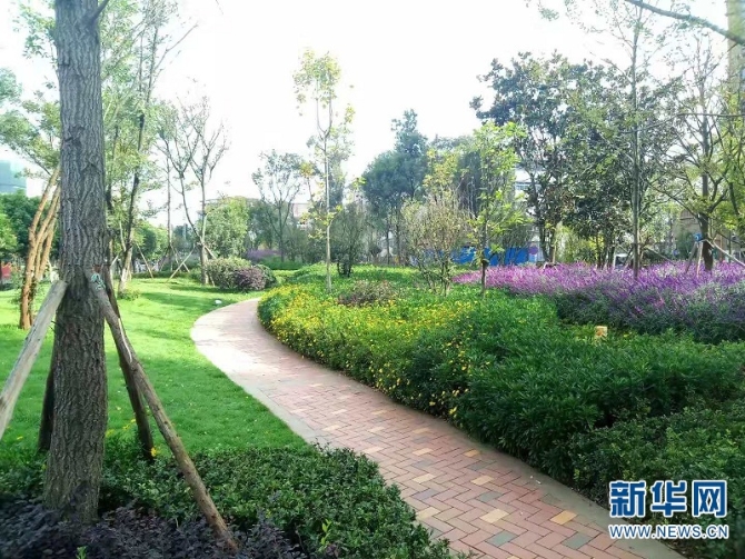 昆明將評選美麗街道、最美游園和最靚櫥窗4