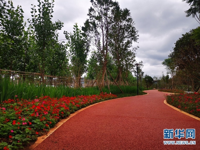 昆明將評選美麗街道、最美游園和最靚櫥窗5