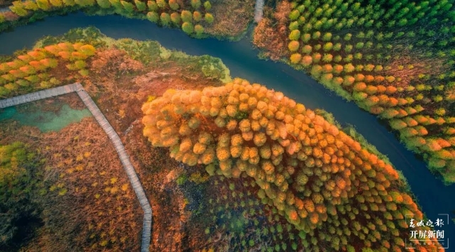 滇池(楊質高 攝)