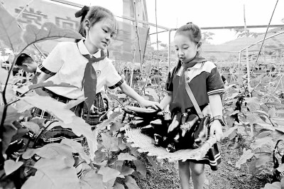 推動人的全面發(fā)展是教育的時代使命 推動人的全面發(fā)展是教育的時代使命