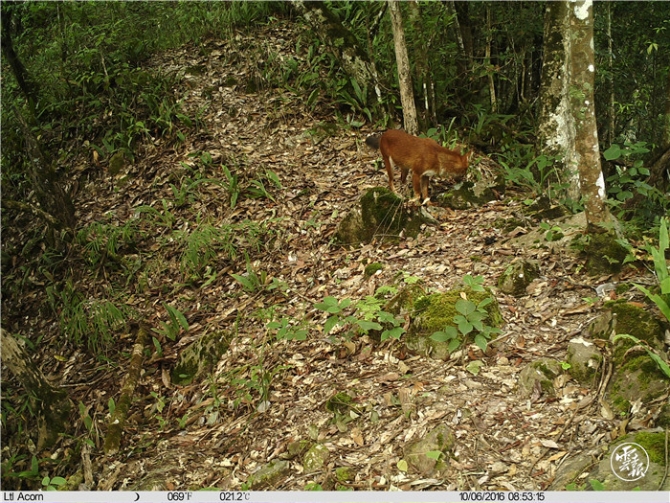 code_ynrb650274ef-6211-45fa-9984-4f20f30d928d