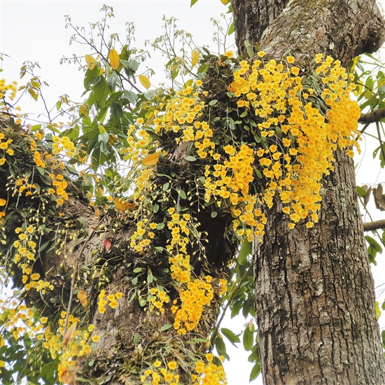 2021071607_res11_attpic_brief